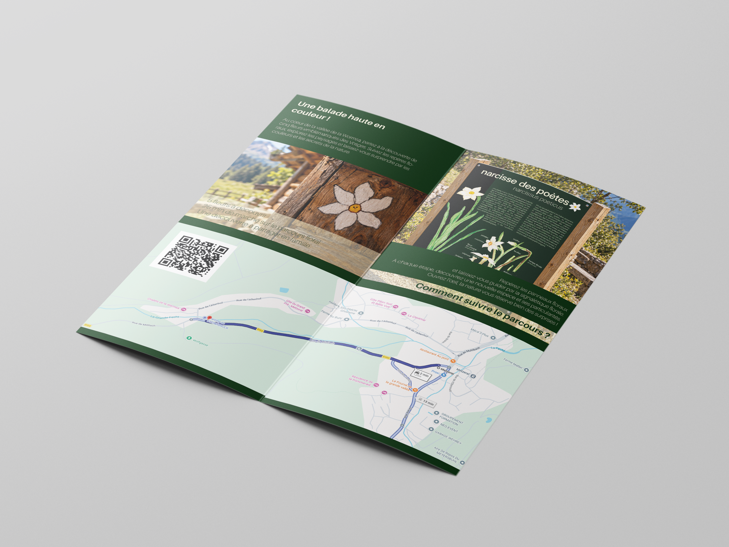 Brochure Verso